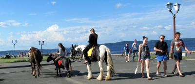 Прикрепленное изображение: IMG_7053.JPG